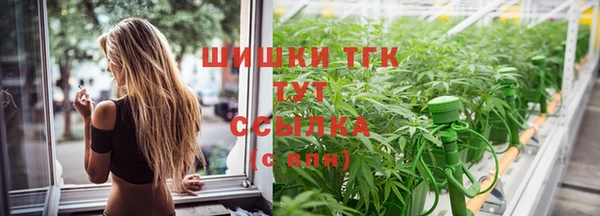 дмт Арсеньев