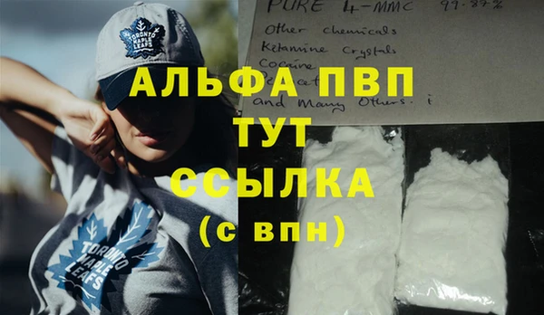 дмт Арсеньев