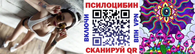 Псилоцибиновые грибы Psilocybe  omg ТОР  Покачи  купить закладку 