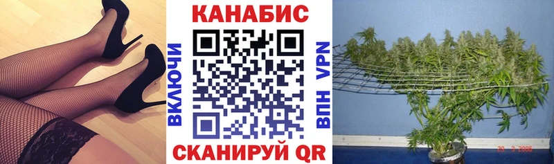 как найти   Покачи  Шишки марихуана план 